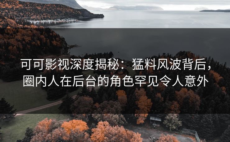 可可影视深度揭秘：猛料风波背后，圈内人在后台的角色罕见令人意外